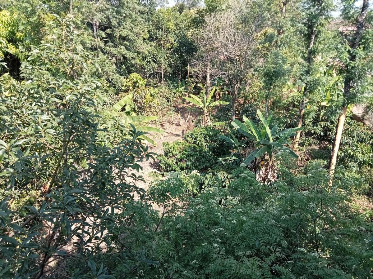 Krupa Homestay Madikeri Exterior foto